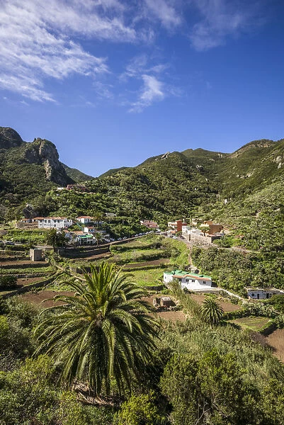 Spain, Canary Islands, Tenerife Island, northeast, Chamorga, elevated village view