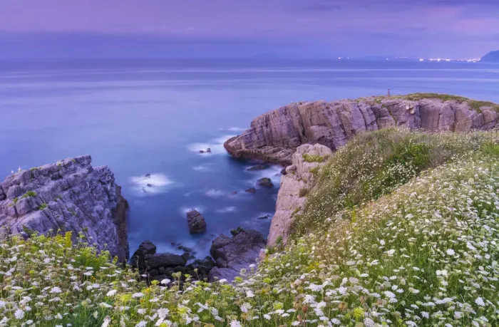 Framed Print : Spain, Cantabria, Castro-Urdiales, cove with wild flowers Framed Print : Spain, Cantabria, Castro-Urdiales, cove with wild flowers
