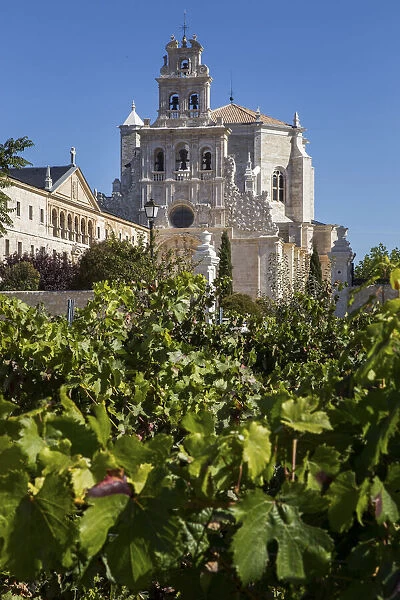 Spain, Castile and Leon, Burgos, La Vid, The main facade of the Monastery in the vines