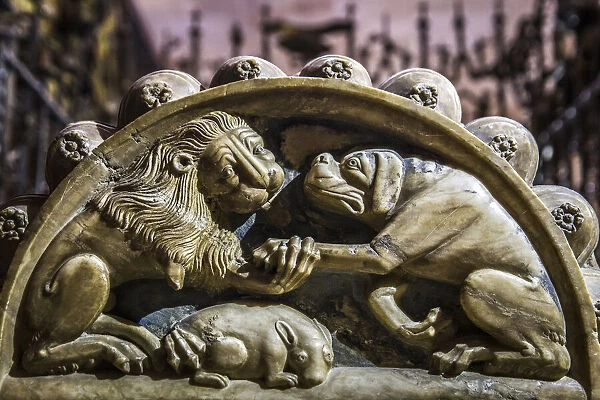 Spain, Castile and Leon, Salamanca, Cathedral, details of Don Diego de Anayas sepulchre in the Anaya chapel of the Old Cathedral
