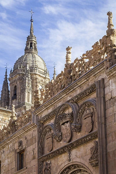 Spain, Castile and Leon, Salamanca, University, architectural details of a facade in the Patio de Escuelas