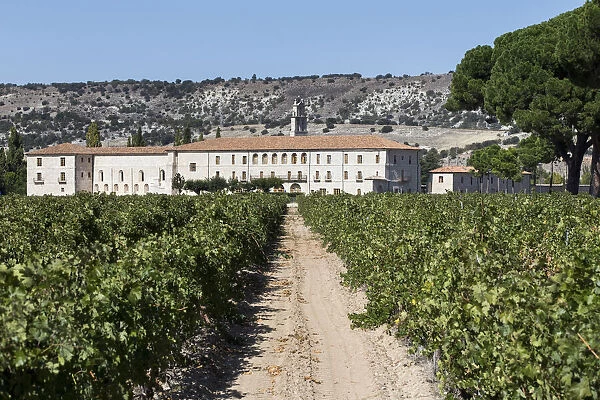 Spain, Castile and Leon, Valladolid, Sardon del Duero, The Retuerta Abbey and the surrounding vineyard