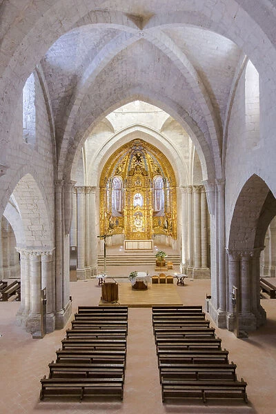 Spain, Castile and Leon, Valladolid, Valbuena de Duero, The central nave of the monastery