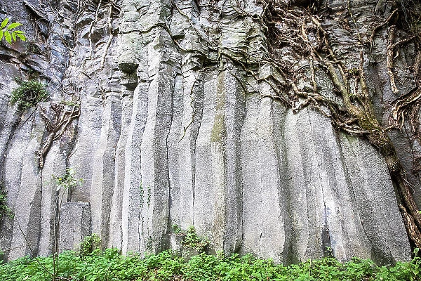 Spain, Catalonia, Olot, Basaltic rocks at Cingles de Fontfreda
