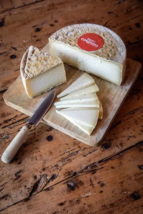 Framed Print : Spain, Catalonia, Olot, Mas La Coromina, Cheese tasting in the shop of the cheese factory Framed Print : Spain, Catalonia, Olot, Mas La Coromina, Cheese tasting in the shop of the cheese factory