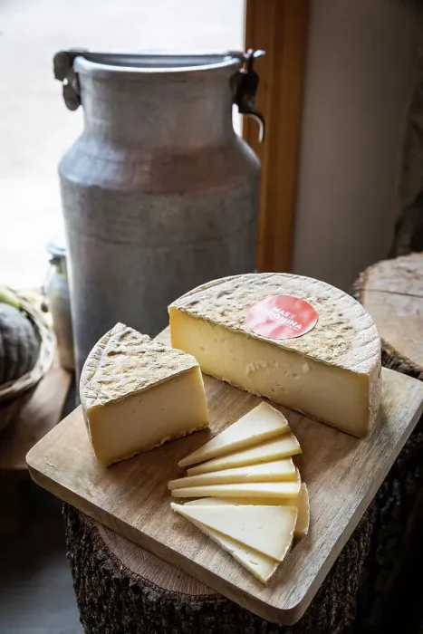 Framed Print : Spain, Catalonia, Olot, Mas La Coromina, Cheese tasting in the shop of the cheese factory Framed Print : Spain, Catalonia, Olot, Mas La Coromina, Cheese tasting in the shop of the cheese factory