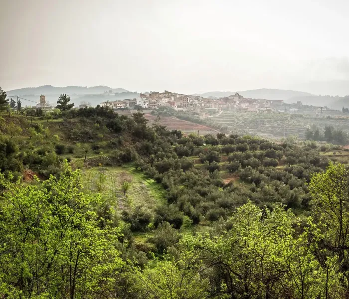 Framed Print : Spain, Catalonia, Tarragona, El Masroig, Rural landscape around the Masroig village Framed Print : Spain, Catalonia, Tarragona, El Masroig, Rural landscape around the Masroig village