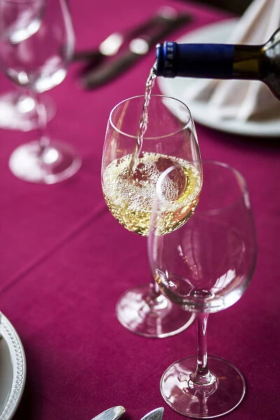 Spain, Costa da Morte, Vedra. A glass of Albarino at the Pazo de Galegos winery