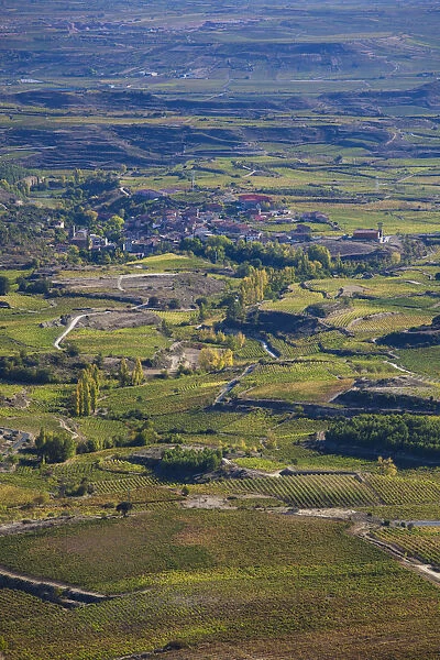 Spain, La Rioja Area, Alava Province, near-Laguardia, elevated view of La Rioja