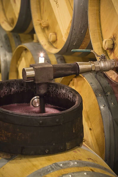 Spain, La Rioja, Haro. Checking the clarity of wine at Bodegas Muga