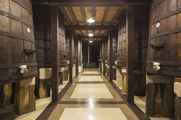 Spain, La Rioja, Haro. Original fermentation barrels at La Rioja Alta, a traditional