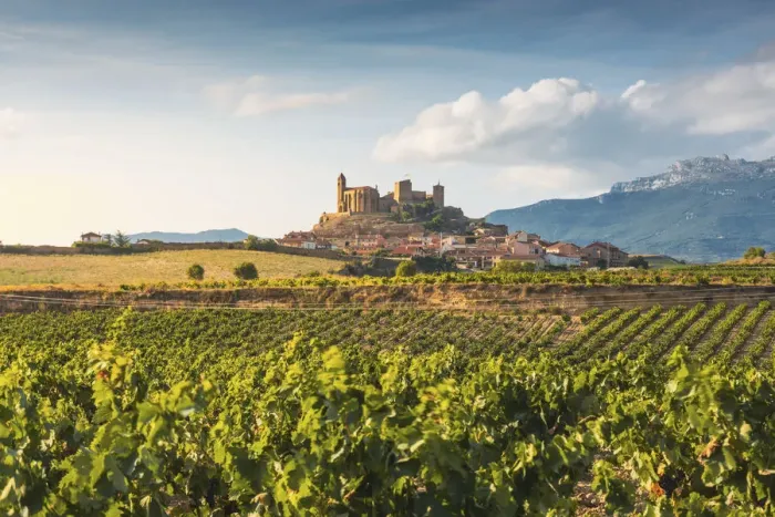 Framed Print : Spain, La Rioja, San Vicente de la Sonsierra. Lush vineyards in summer Framed Print : Spain, La Rioja, San Vicente de la Sonsierra. Lush vineyards in summer