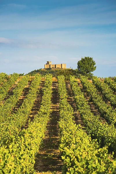 Spain, La Rioja. Vineyards and Davalillo Castle in the background