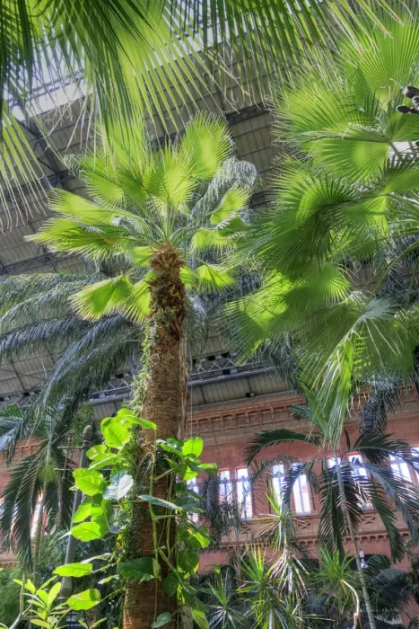 Framed Print : Spain, Madrid, Atocha Railway Station (Estacion de Atocha)