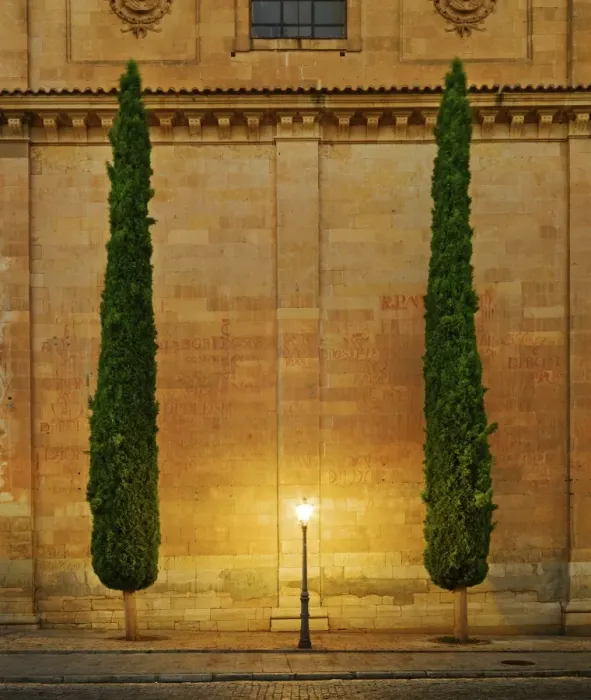 Framed Print : Spain, Salamanca, Iglesia San Benito at night