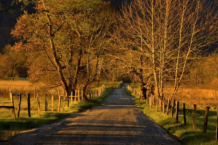 Framed Print : Sparks Lane at dawn, Great Smoky Mountains National Park, Tennessee, USA Framed Print : Sparks Lane at dawn, Great Smoky Mountains National Park, Tennessee, USA