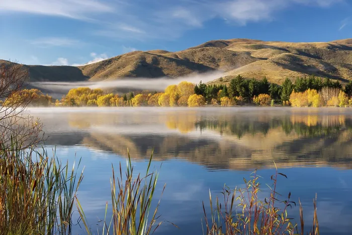 Framed Print : Spectacular autumnal colours on the banks of Wairepo Arm near Twizel in South Island, New Zealand. Autumn (May) 2025 Framed Print : Spectacular autumnal colours on the banks of Wairepo Arm near Twizel in South Island, New Zealand. Autumn (May) 2025