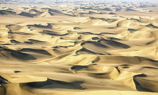 The spectacular dunes of the Namib, a coastal desert in southern Africa