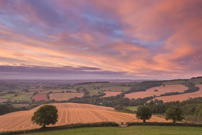 Framed Print : Spectacular sunset above rolling Devon countryside, Stockleigh Pomeroy, Devon, England