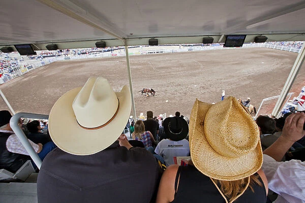 Spectators wathcing a rodeo event at the Calgary Stampede, Canada