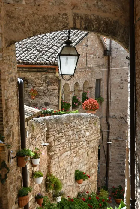 Framed Print : Spello, city of flowers, typical old stone village, Umbria, Italy, Europe