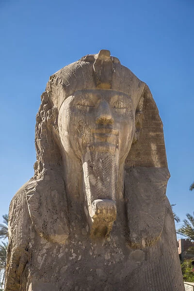 Sphinx at Memphis (capital of Ancient Egypt), Nr. Cairo, Egypt