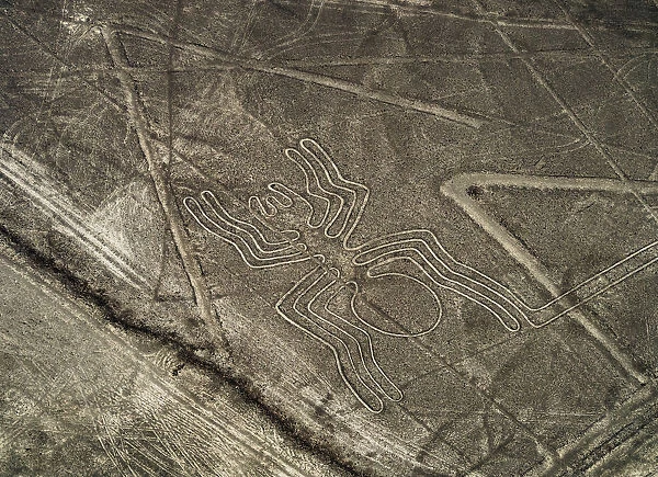 The Spider Geoglyph, aerial view, Nazca, Ica Region, Peru