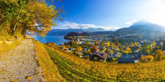 Framed Print : Spiez Castle and vineyards, Berner Oberland, Switzerland