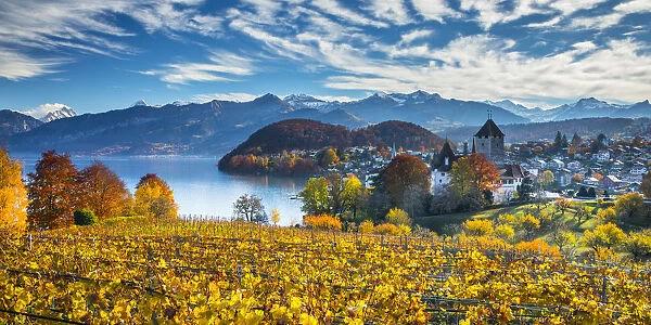 Spiez Castle and vineyards, Berner Oberland, Switzerland