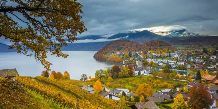 Framed Print : Spiez Castle and vineyards, Berner Oberland, Switzerland Framed Print : Spiez Castle and vineyards, Berner Oberland, Switzerland