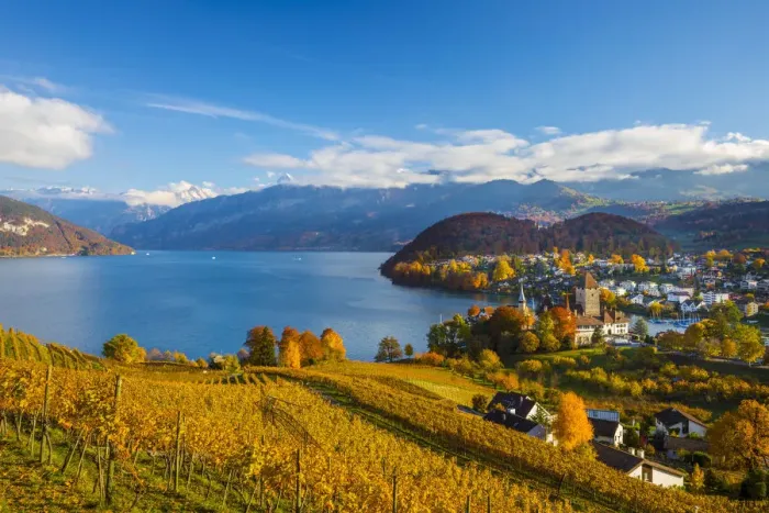 Framed Print : Spiez Castle and vineyards, Berner Oberland, Switzerland