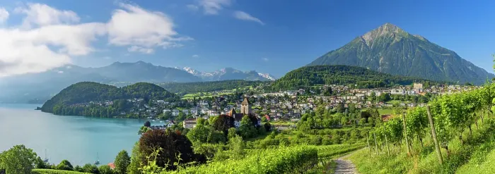 Framed Print : Spiez Castle, vineyards and Niesen mountain, Spiez, Canton of Bern, Switzerland Framed Print : Spiez Castle, vineyards and Niesen mountain, Spiez, Canton of Bern, Switzerland