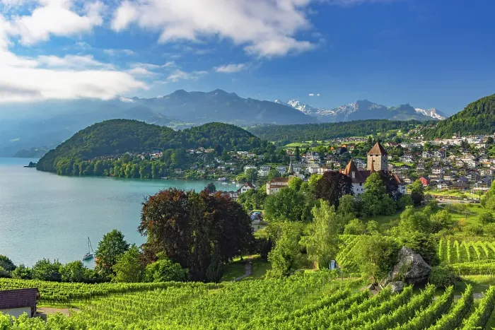 Framed Print : Spiez Castle and vineyards, Spiez, Canton of Bern, Switzerland Framed Print : Spiez Castle and vineyards, Spiez, Canton of Bern, Switzerland