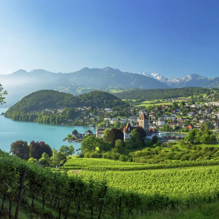 Framed Print : Spiez Castle and vineyards, Spiez, Canton of Bern, Switzerland Framed Print : Spiez Castle and vineyards, Spiez, Canton of Bern, Switzerland