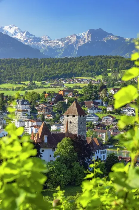 Framed Print : Spiez Castle and vineyards, Spiez, Canton of Bern, Switzerland Framed Print : Spiez Castle and vineyards, Spiez, Canton of Bern, Switzerland