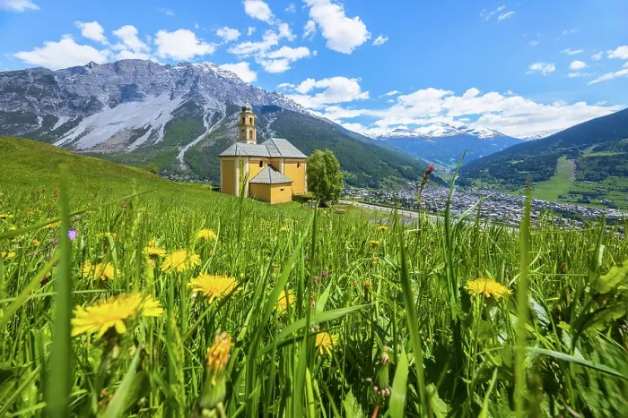 Framed Print : Spring flowers blooming in spring near the church of Madonna di Oga overlooking Bormio town. Bormio, Sondrio district, Valtellina, Lombardy, Italy Framed Print : Spring flowers blooming in spring near the church of Madonna di Oga overlooking Bormio town. Bormio, Sondrio district, Valtellina, Lombardy, Italy