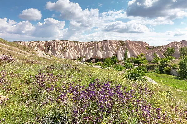 Spring flowers and rock formations, Uchisar, Cappadocia, Nevsehir Province, Central Anatolia, Turkey