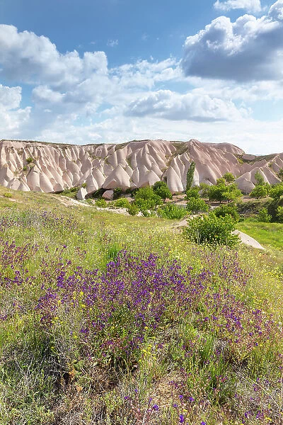 Spring flowers and rock formations, Uchisar, Cappadocia, Nevsehir Province, Central Anatolia, Turkey