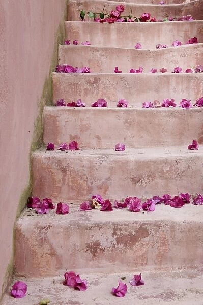 Spring Flowers on Staircase, Hania, Hania Province, Crete, Greece