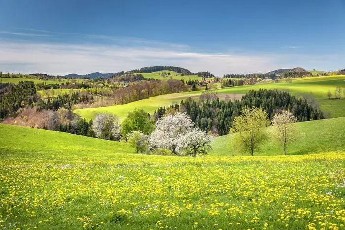 Framed Print : Spring in Glottertal between St. Peter and St. Margen, Black Forest, Baden-Wurttemberg, Germany