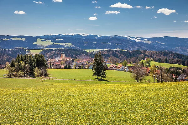 Spring in Glottertal between St. Peter and St. Margen, Black Forest, Baden-Wurttemberg, Germany