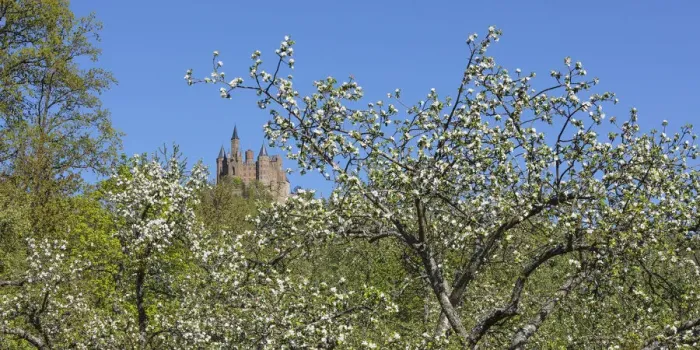 Framed Print : Spring at Hohenzollern Castle, Swabian Jura, Baden-Wurttemberg, Germany