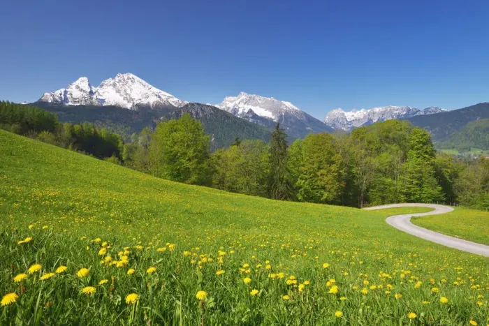 Framed Print : Spring meadow against Mount Watzmann (2380 m). Berchtesgaden, Berchtesgaden Land, Bayern Framed Print : Spring meadow against Mount Watzmann (2380 m). Berchtesgaden, Berchtesgaden Land, Bayern