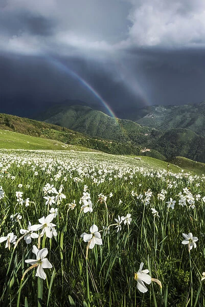 Spring storm from the top of Monte Croce in the Apuan Alps, Tuscany, Italy