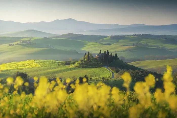 Framed Print : Spring sunrise with canola flowers over the iconic Podere Belvedere in Val d'Orcia, Tuscany, Italy