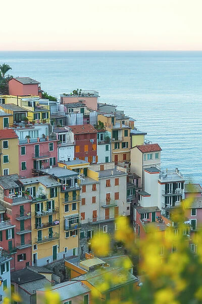 A spring sunrise above the colorful houses of the town of Manarola, in Cinque Terre, Liguria