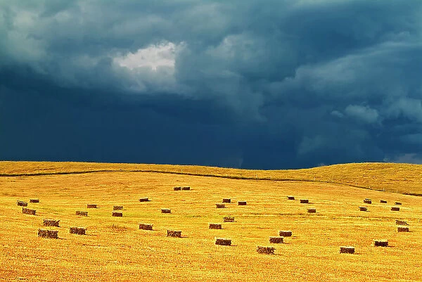 Square bales and storm light Holland, Manitoba, Canada
