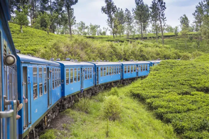 Framed Print : Sri Lanka, Central Province, Kandy to Badulla train alongside tea plantation Framed Print : Sri Lanka, Central Province, Kandy to Badulla train alongside tea plantation