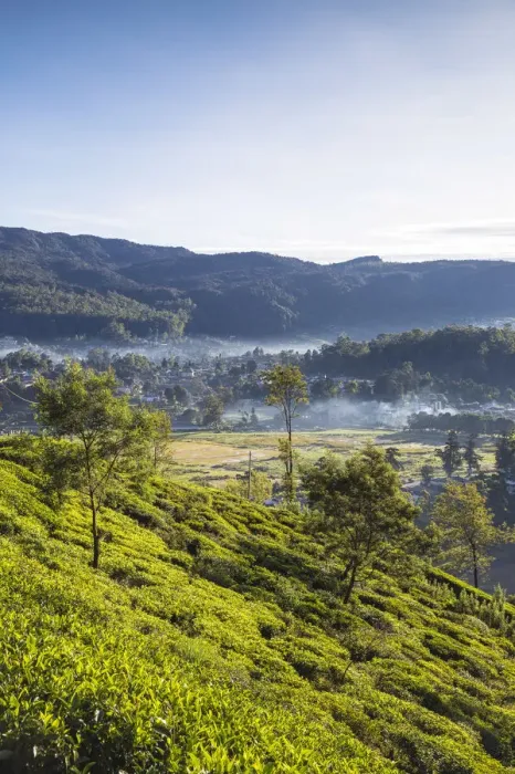 Framed Print : Sri Lanka, Nuwara Eliya, View of Nuwara Eliya