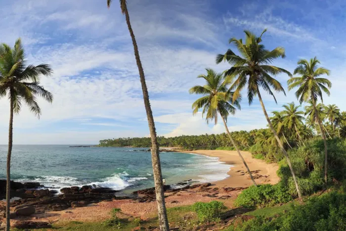 Framed Print : Sri Lanka, South Coast, Tangalla, Goyambokka Beach Framed Print : Sri Lanka, South Coast, Tangalla, Goyambokka Beach
